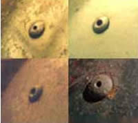 Different types of air vent bolts